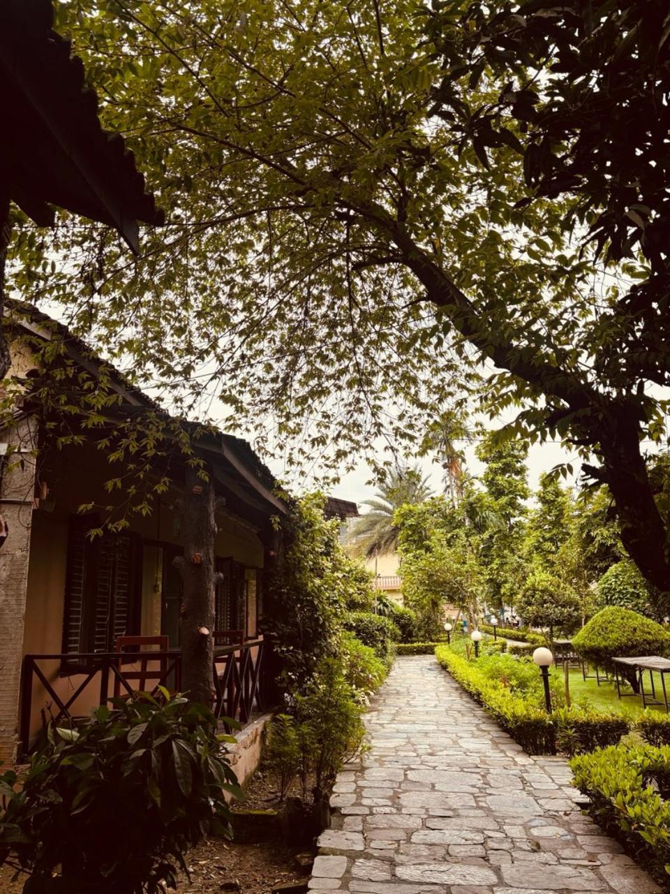 Travellers Jungle Camp-Sauraha Hotel Exterior photo