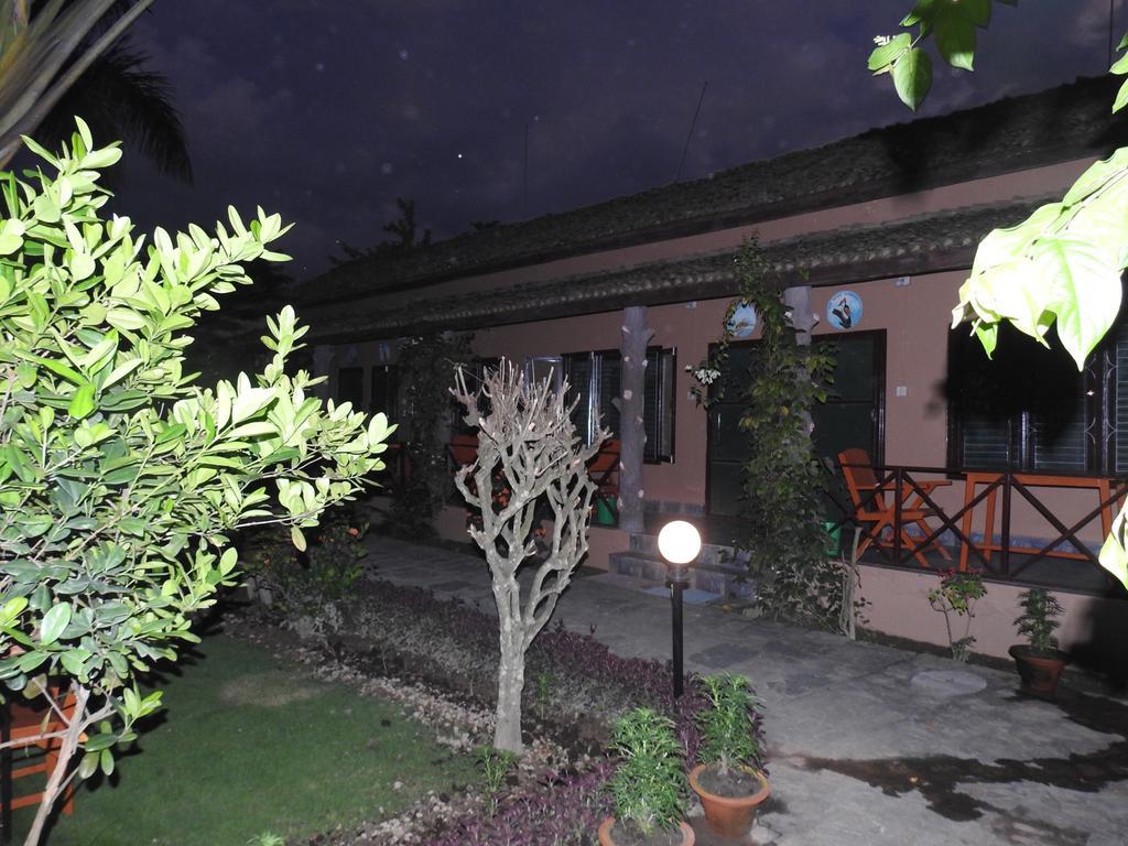 Travellers Jungle Camp-Sauraha Hotel Exterior photo